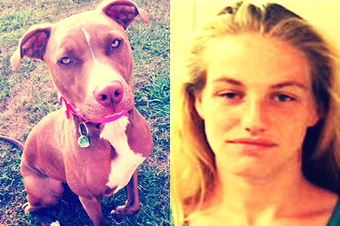 Wanita, 23, Didapati `Berhubungan Intim` dengan Anjing Pit Bull
